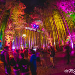 Electric Forest 2022 dates are hereElectric Forest Credit Anthony Norkus