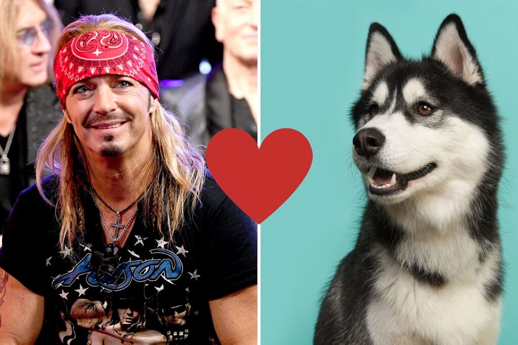 bret-michaels-adopts-adorable-‘hero’-dog-named-bret-michaels