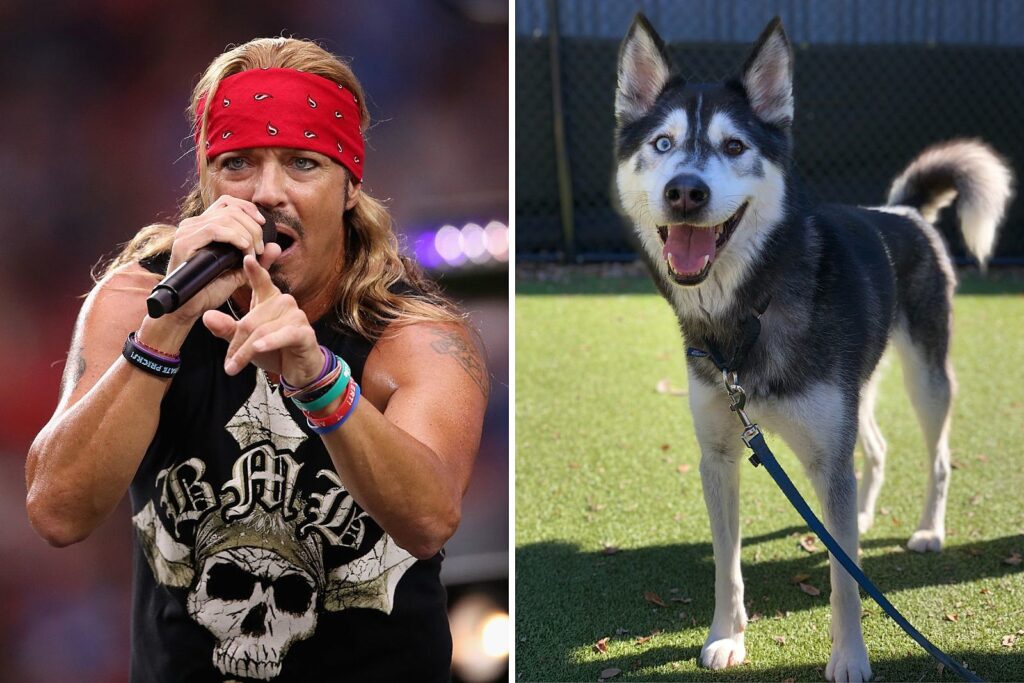 bret-michaels-adopts-‘heroic’-omaha-shelter-dog-named-after-him