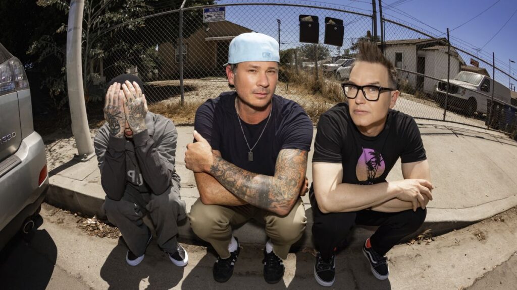 blink-182-fans-lash-out-at-sky-high-ticket-presale-prices