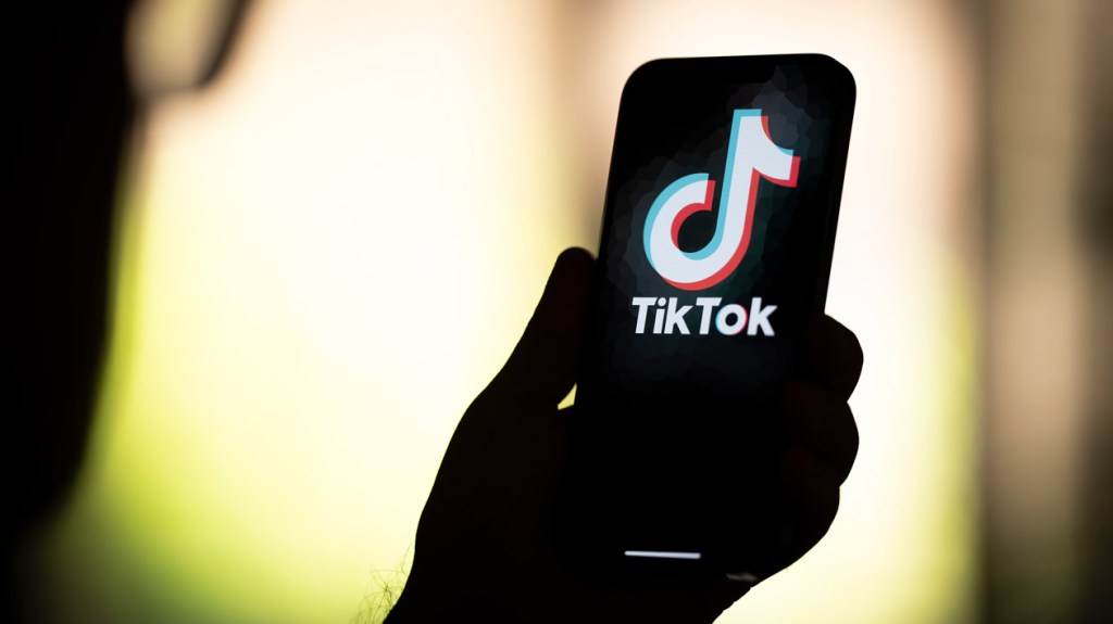 now-it’s-easier-to-stream-your-favorite-tiktok song