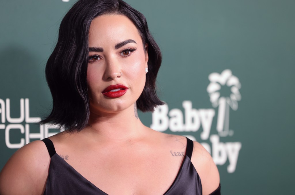 demi-lovato,-cyndi-lauper-&-more-artists-join-climate-change-human-rights campaign