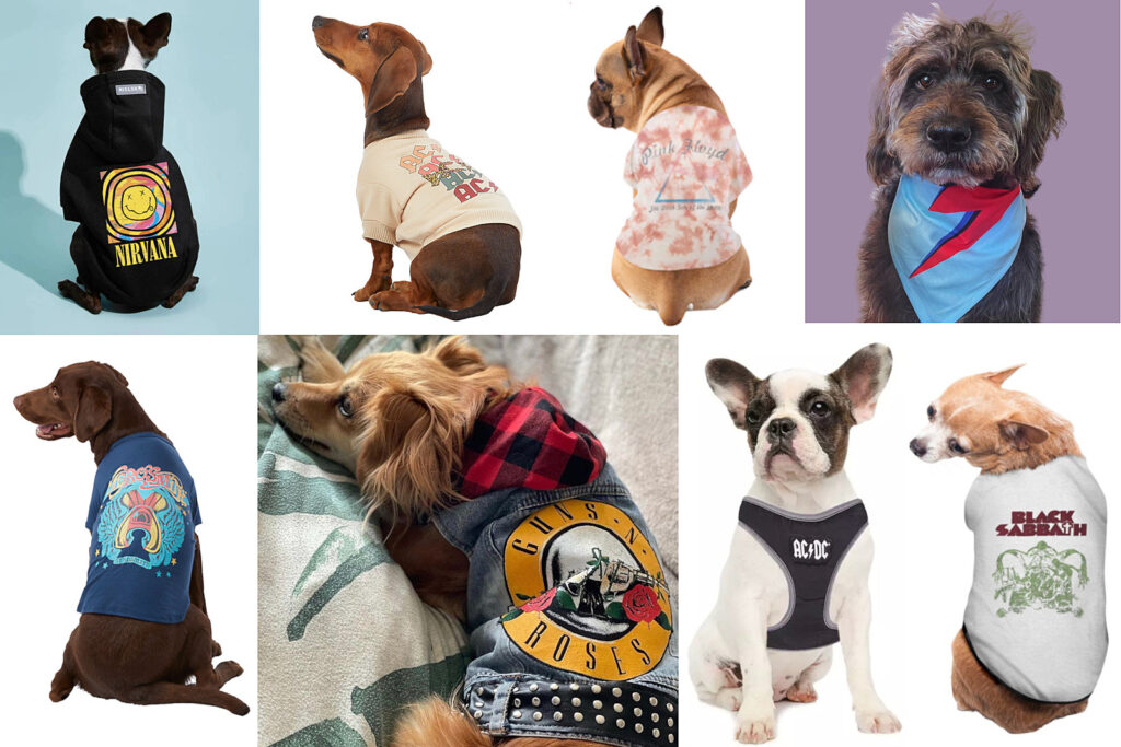 25-classic-rock-outfits-for-your-dog