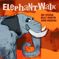 medeski-and-martin-join-joshua-for-“elephant-walk”