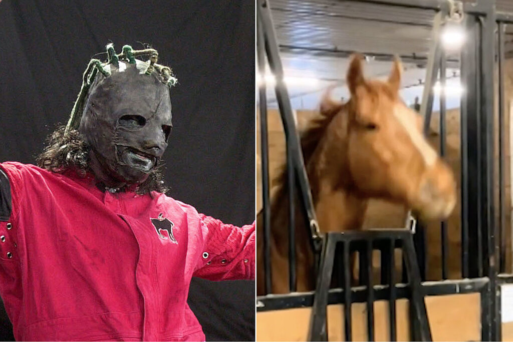 slipknot-loving-horse-has-hilarious-reaction-to-country-music