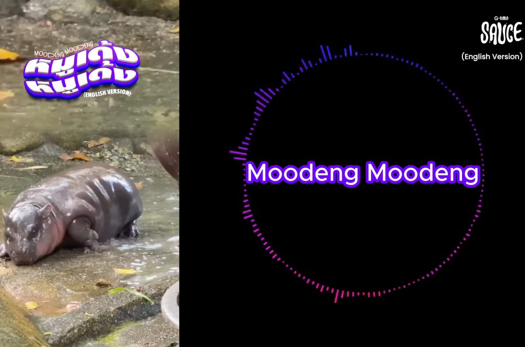 moo-ve-over-‘baby-shark,’-baby-hippo-moo-deng-has-her-own-insanely-catchy-theme-song now