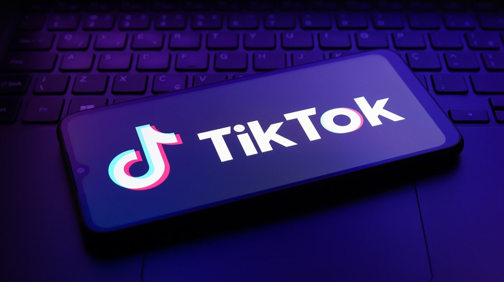 tiktok-asks-supreme-court-to-block-us.-law-that-would-ban-it-unless sold