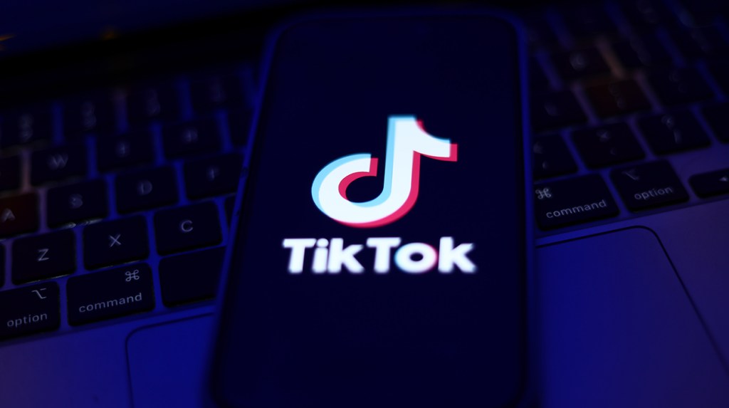 donald-trump-asks-supreme-court-to-delay-tiktok ban