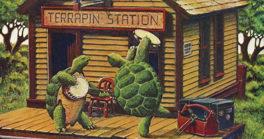 dead-ahead-offers-chelonian-combo-of-“terrapin-station”-and-“turtles-all-the-way-down”