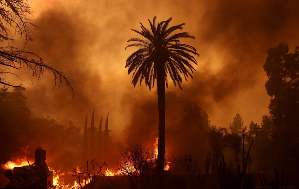 benefit-concert-for-victims-of-los-angeles-wildfires-announced