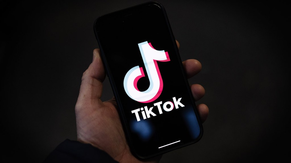 tiktok-ban,-megan-thee-stallion-order,-travis-scott-lawsuit-&-more-top-music-law news