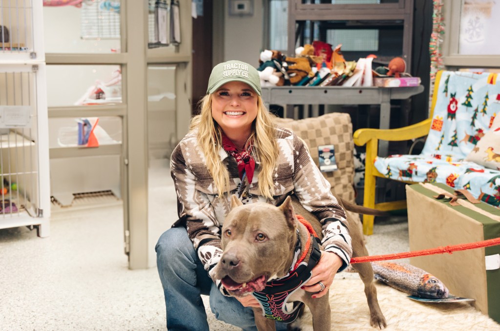 miranda-lambert’s-muttnation-partners-with-guitar-shop-to-help-animal-shelters-impacted-by-la. wildfires